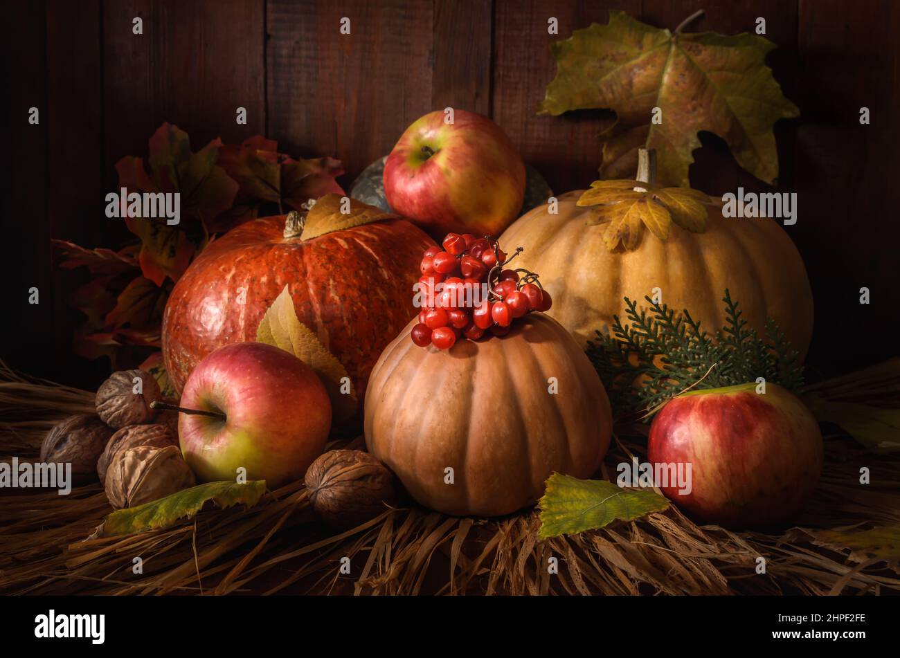 Pumpkin and fruits on dark wooden background Stock Photo