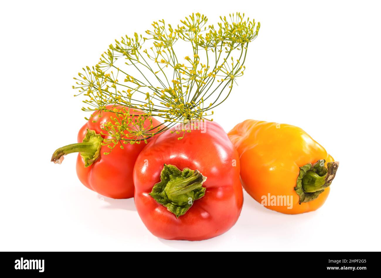 bell peppers and a sprig of dill on a white background with soft shadow Stock Photo