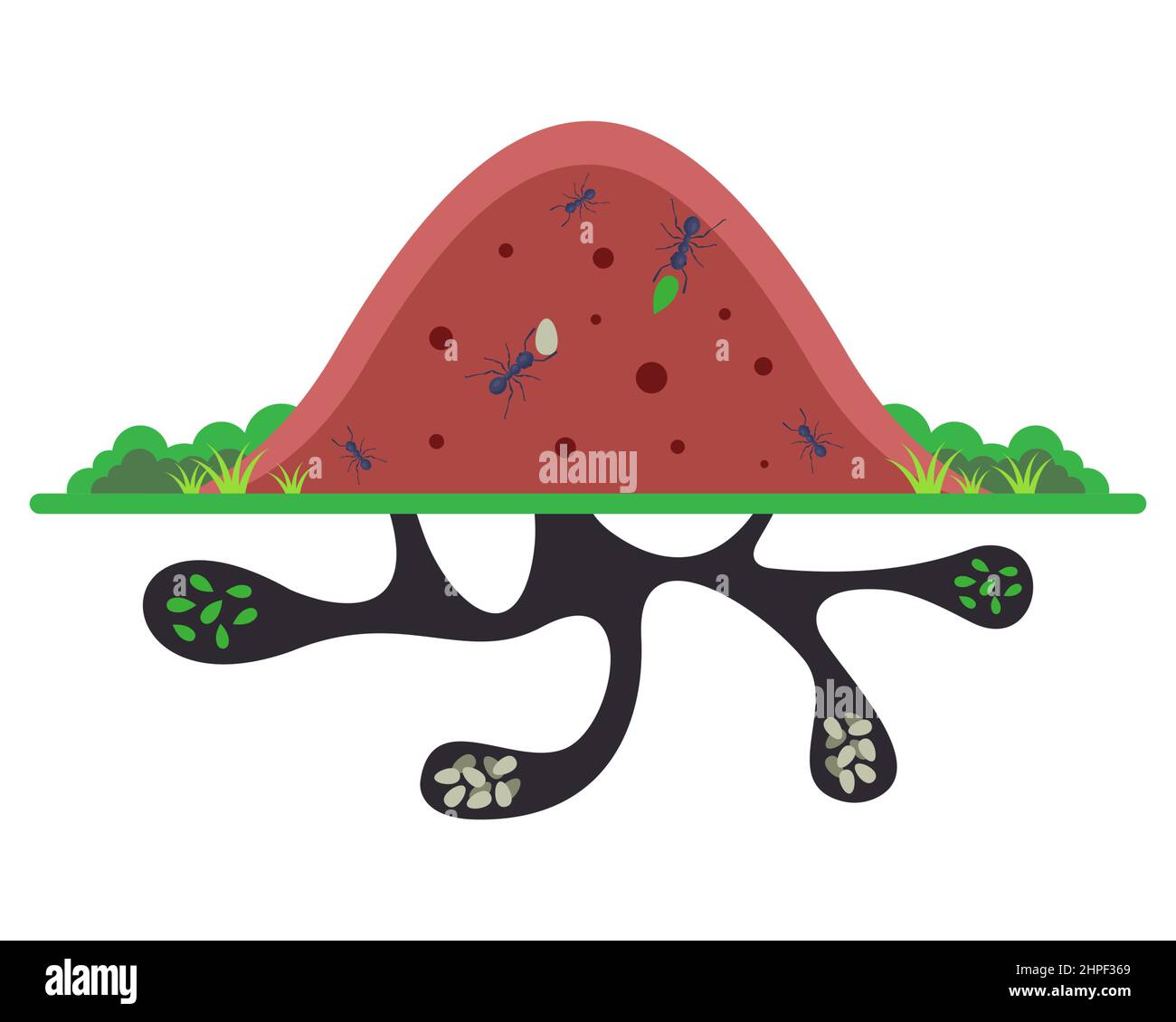 large anthill in the forest. underground passages with ants. flat vector illustration. Stock Vector