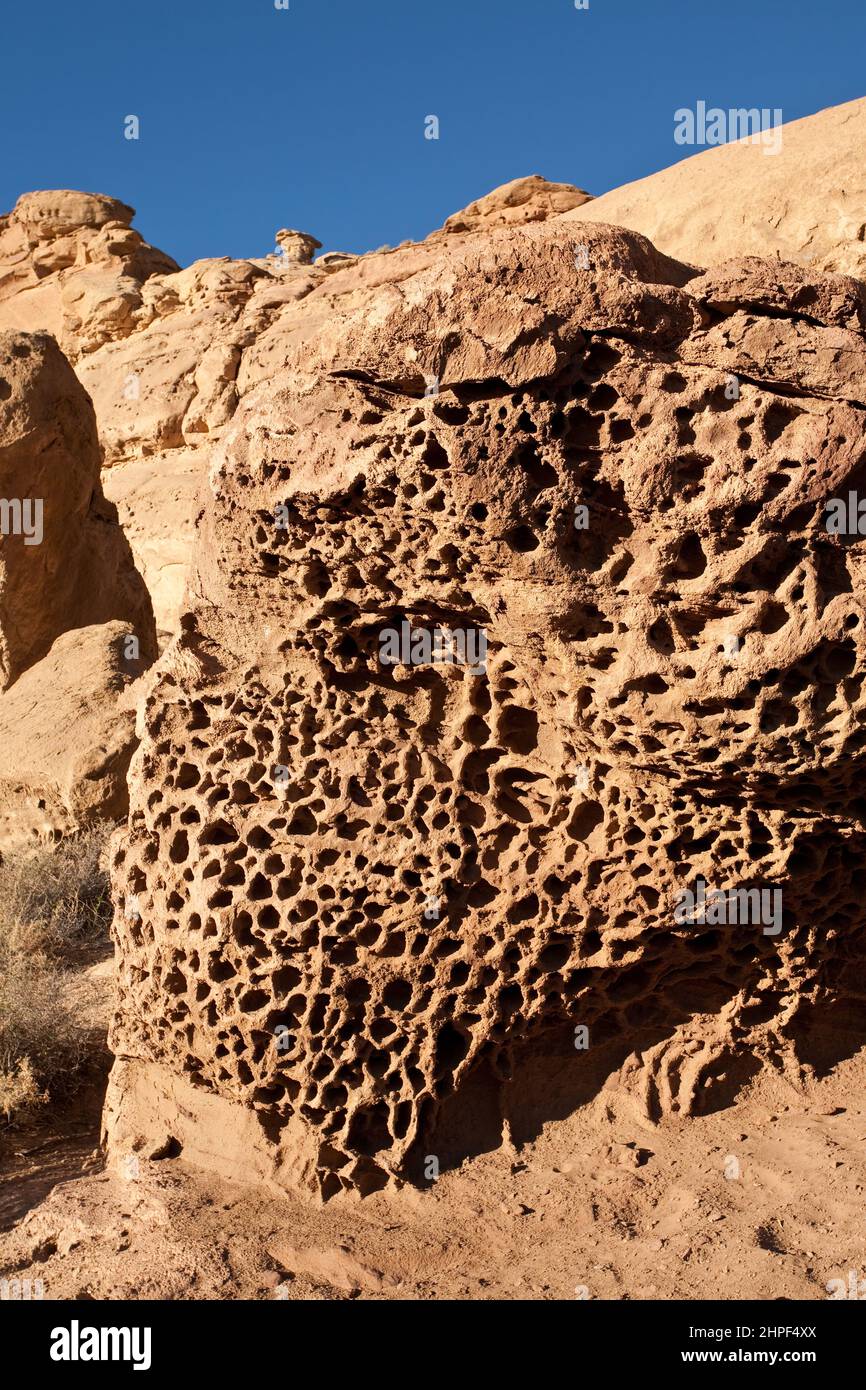 Honeycomb rock hi res stock photography and images Alamy