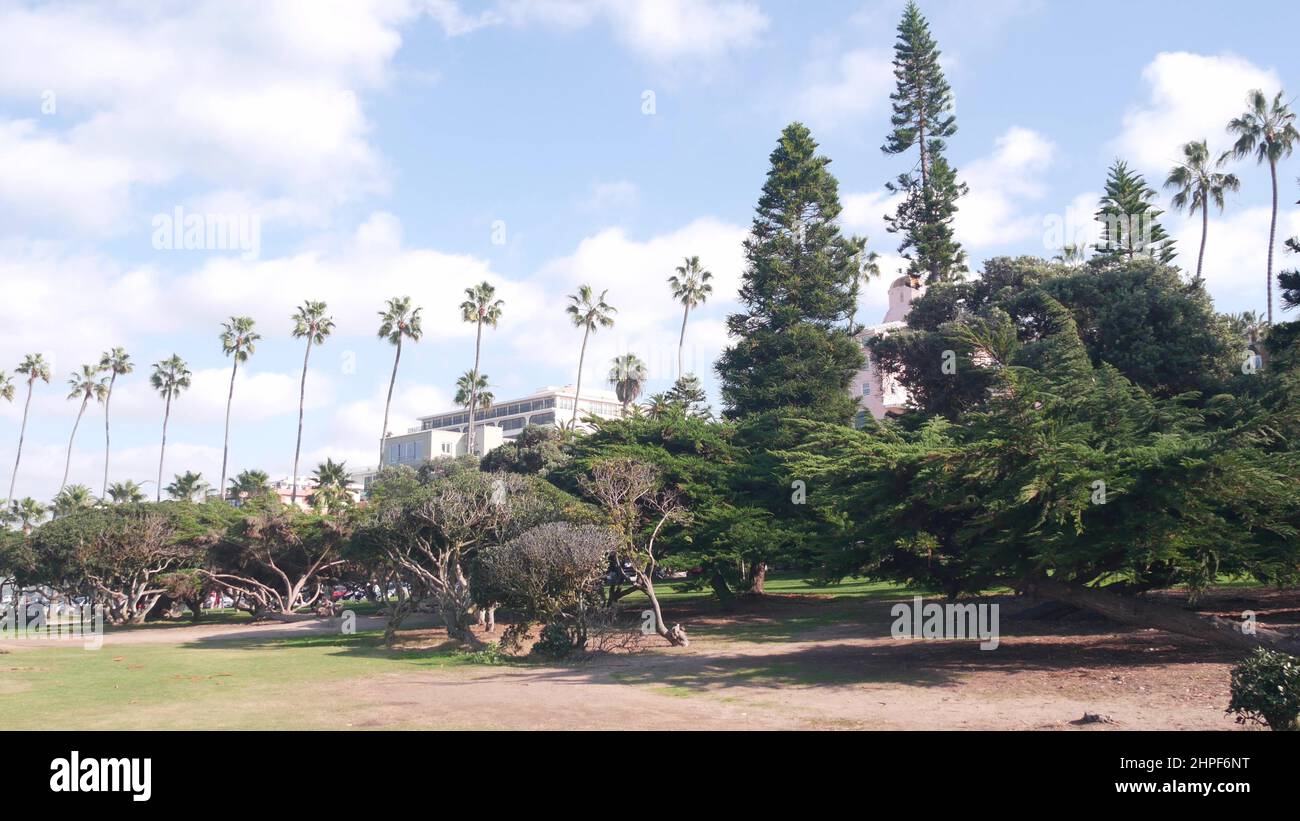 Row palm trees rocky point hi-res stock photography and images - Alamy