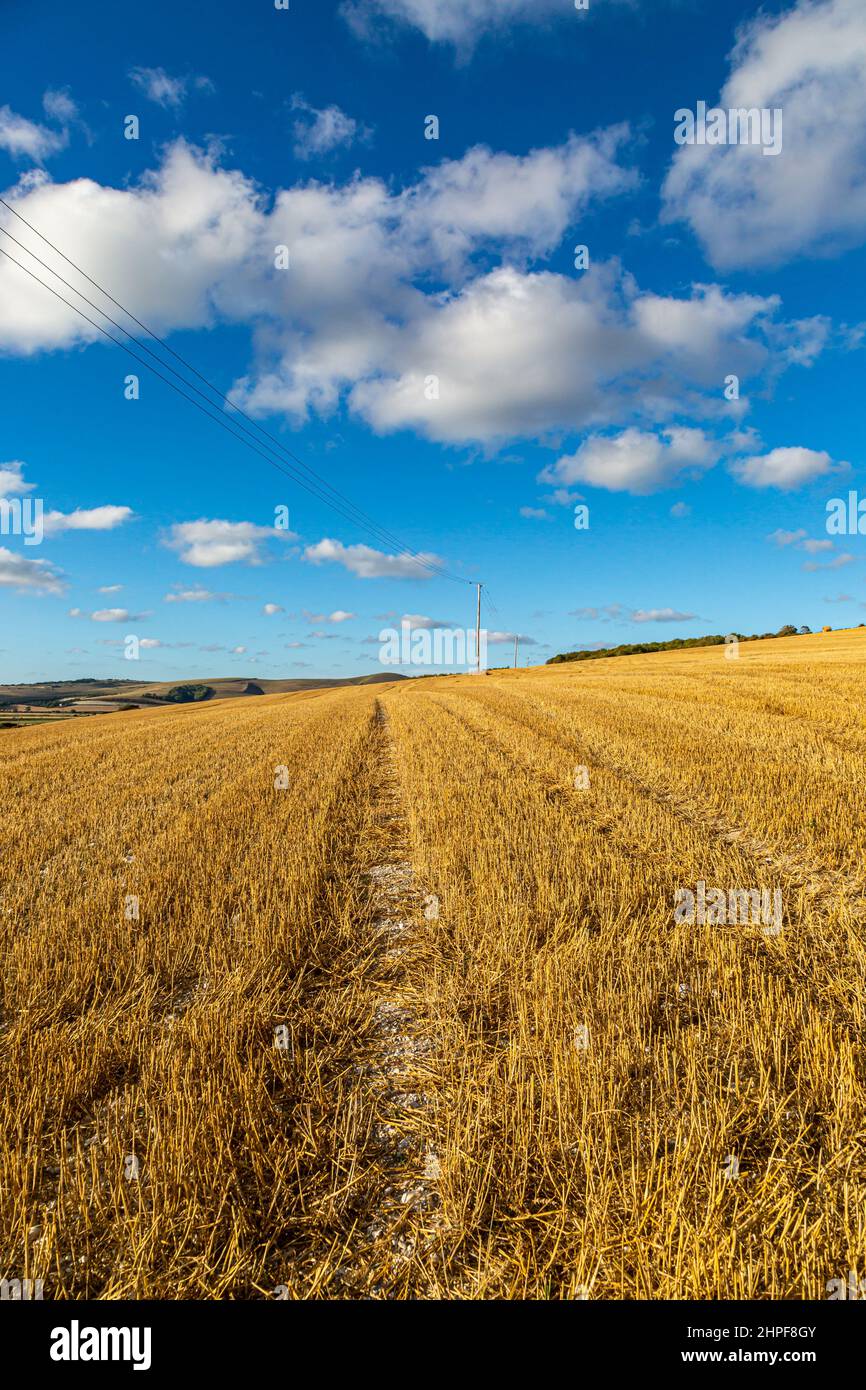 A rural Sussex view with field stubble after harvesting Stock Photo Alamy