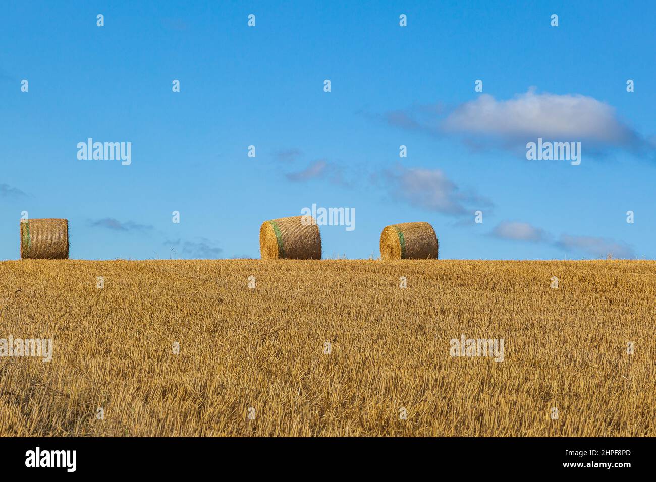 Hay bales in the South Downs in Sussex, on a sunny summers evening ...