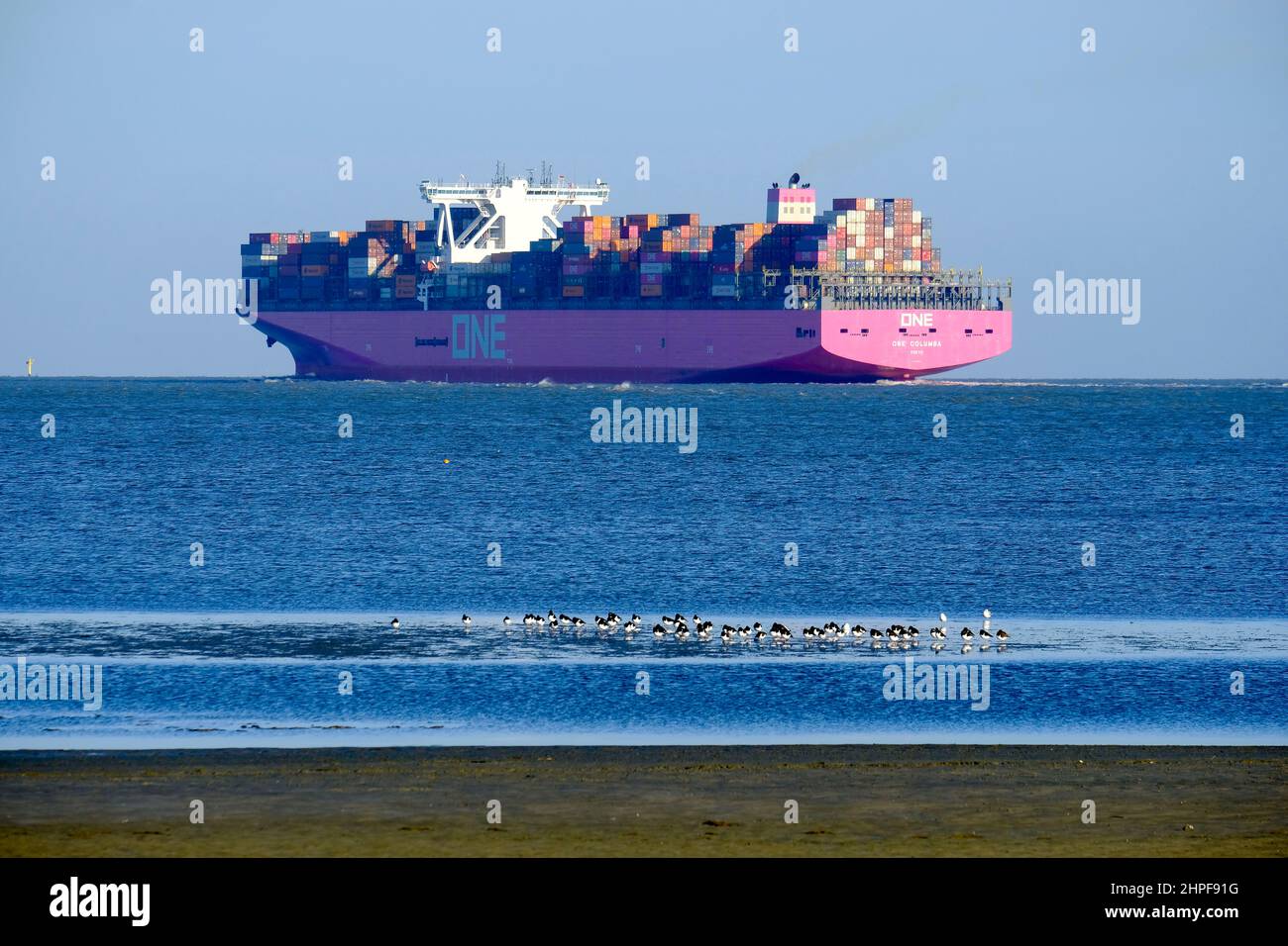 10.02.2022, Cuxhaven, Niedersachsen, Deutschland  - Containerschiff in der Elbmuendung, gesehen vom Strand von Cuxhaven bei Ebbe an einem Wintertag im Stock Photo