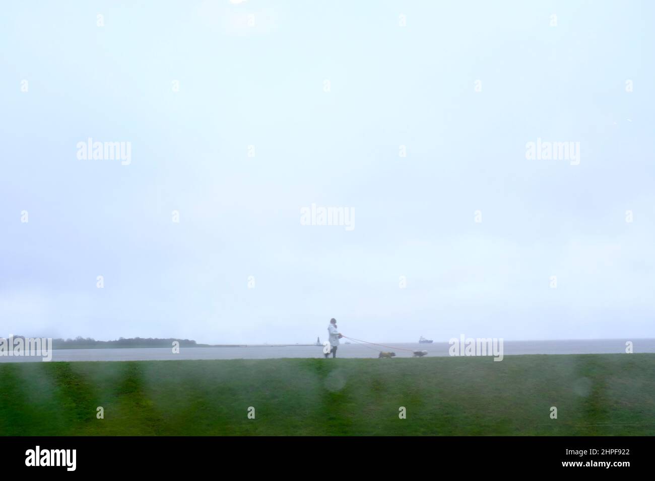 09.02.2022, Cuxhaven, Niedersachsen, Deutschland - eine Spaziergaengerin mit zwei kleinen Hunden im Regen auf dem Deich an der Grimmershörner Bucht in Stock Photo