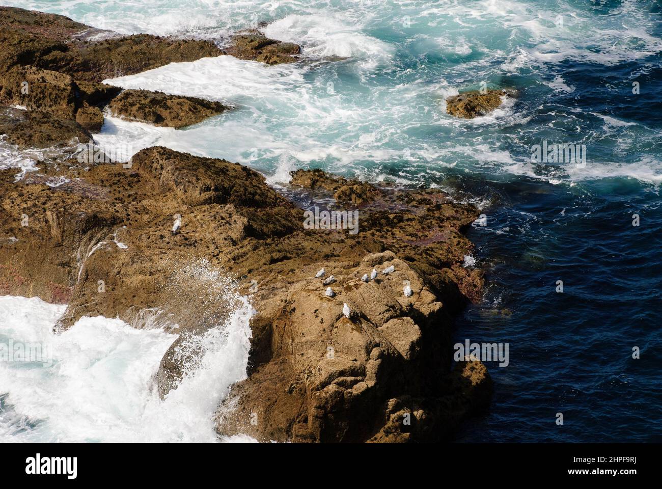 Rock with seagulls in the splashing waves of the sea, Land's End, Cornwall Stock Photo