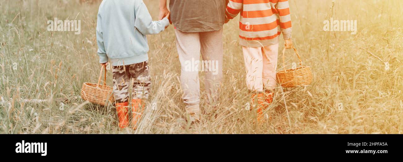 kids mushroom pickers go to the forest by the hand with their grandmother. family of survivalists gathers wild fungus harvest and outdoor foraging  in Stock Photo