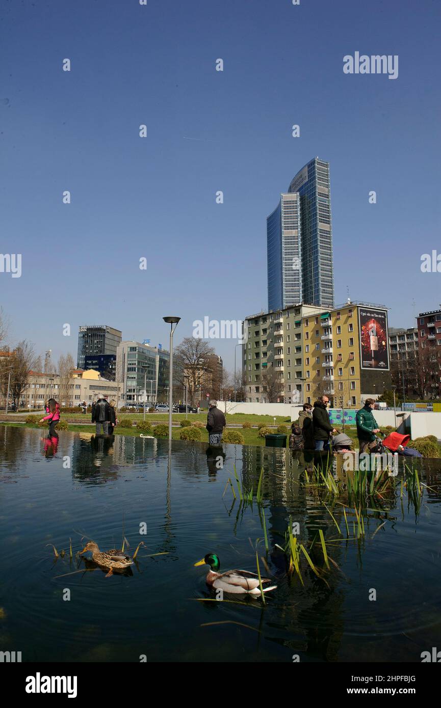 Milan, Italy In the pond of the Biblioteca degli Alberi Park, piazza Gae Aulenti, a pair of German ducks (Anas platyrhynchos). Stock Photo