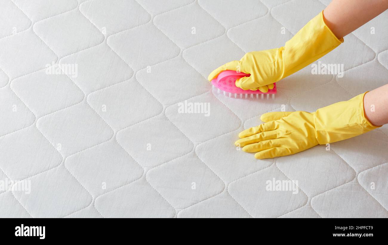 Cleaning company Employee hand cleans surface of mattress on bed with