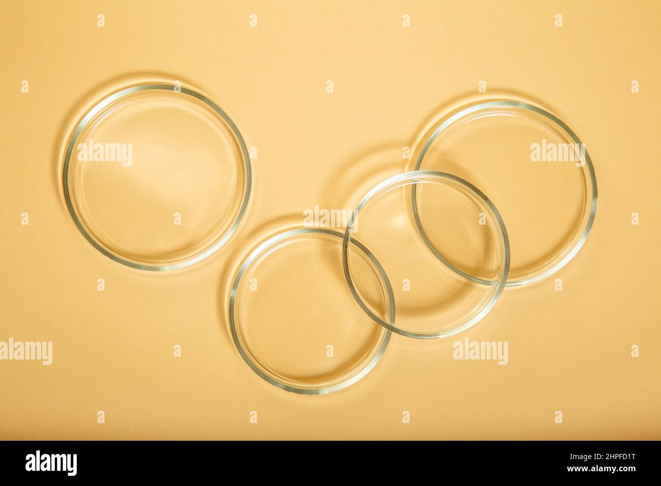 Laboratory glassware for bio science, organic skin care products, cosmetic research. Clean empty petri dishes on beige nude background. Top view Stock Photo