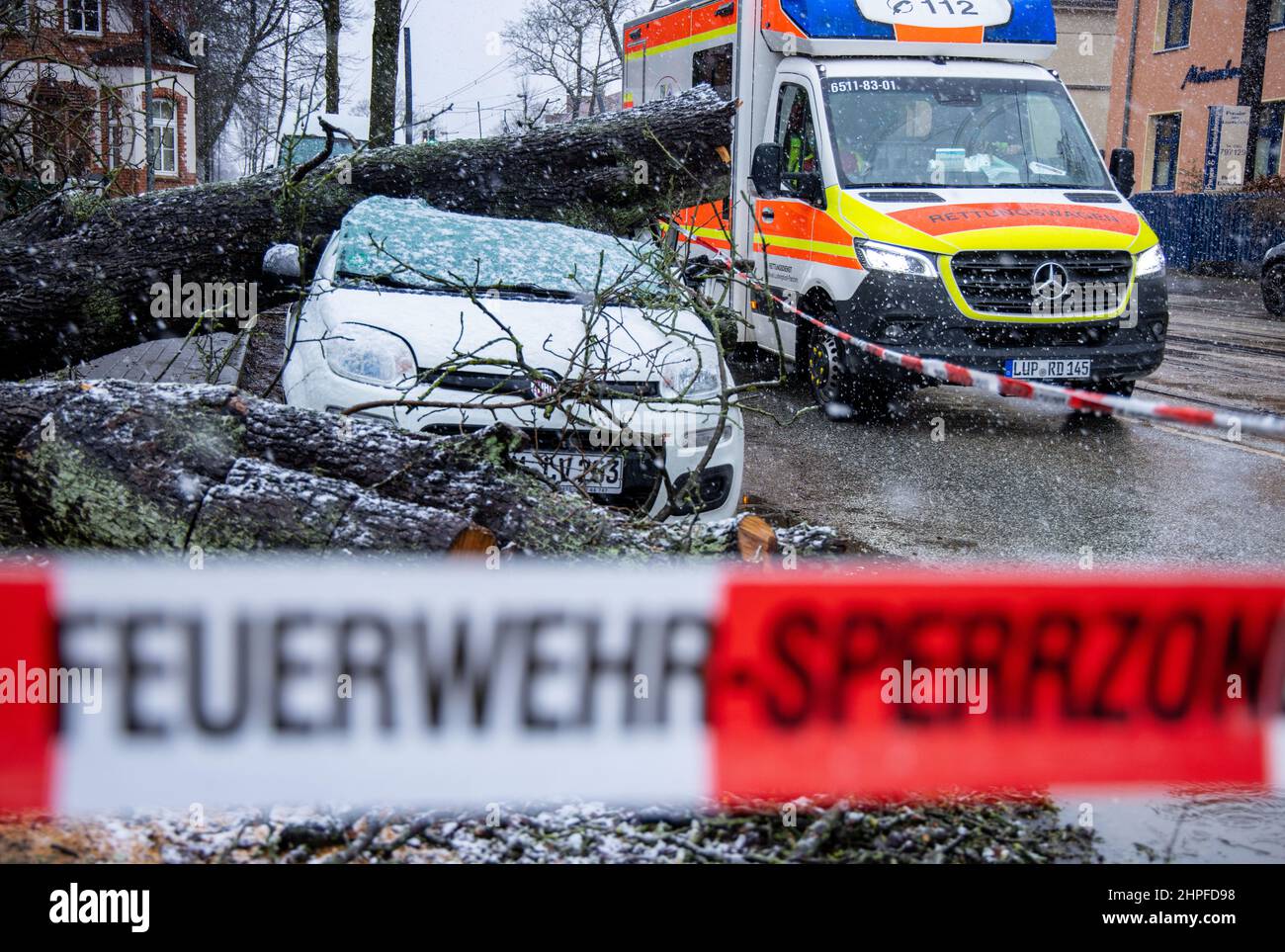 Schwerin, Germany. 21st Feb, 2022. An uprooted tree lies on a small car in the city center. The police and fire departments in the state capital had numerous deployments over the weekend due to the extreme weather conditions. In addition to fallen trees, several accidents had to be taken up or construction sites secured. Credit: Jens Büttner/dpa-Zentralbild/dpa/Alamy Live News Stock Photo