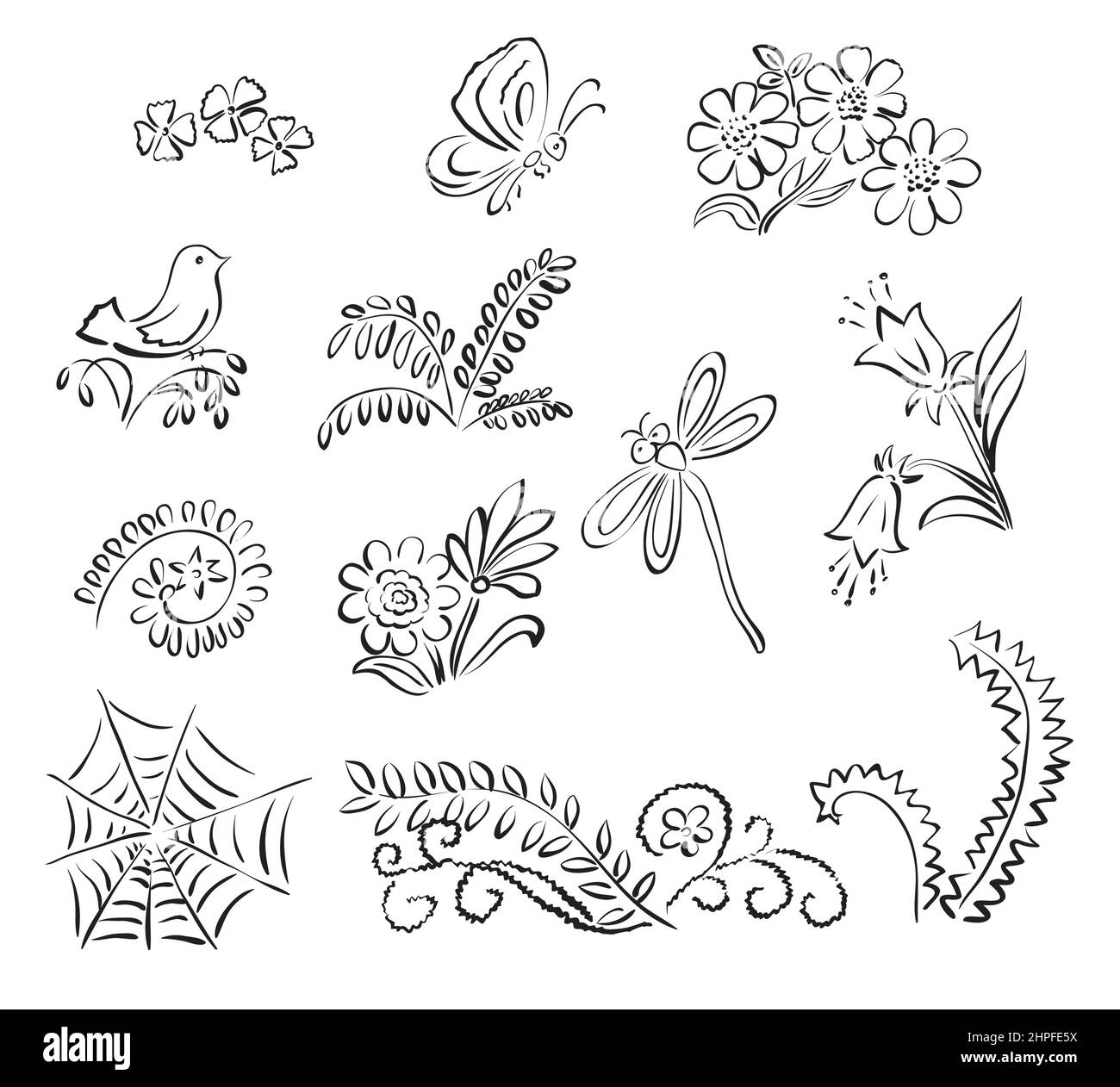 elements of nature - vector illustration Stock Vector Image & Art - Alamy