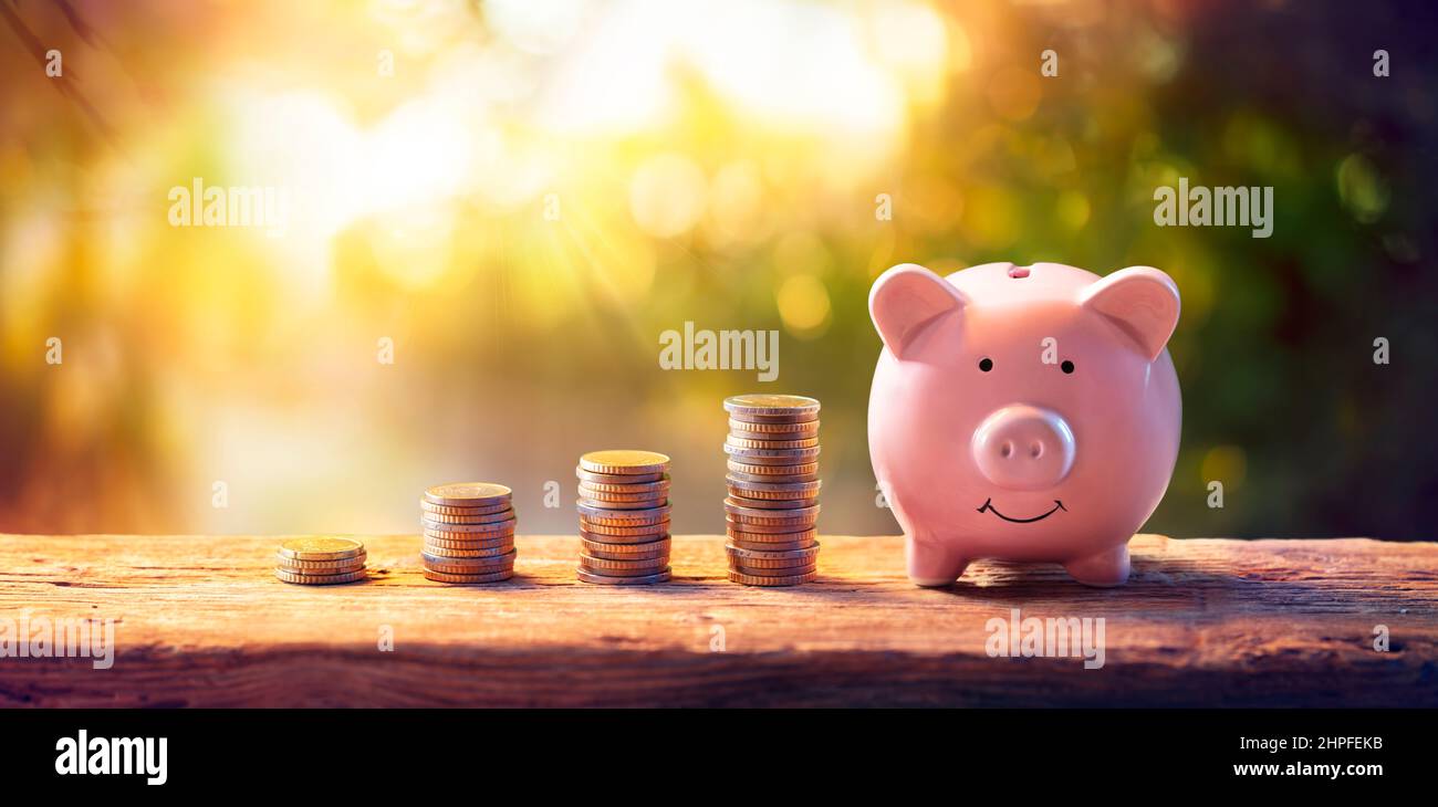 Savings Money - Success Piggybank - Financial Banking Concepts Stock Photo