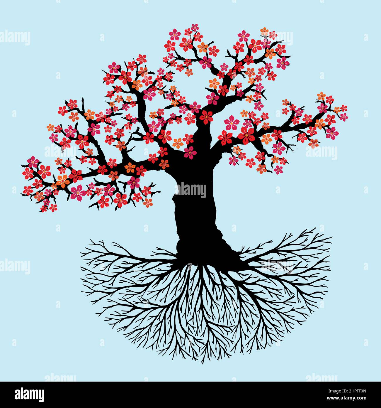 Cherry Blossom Tree With Roots Drawing