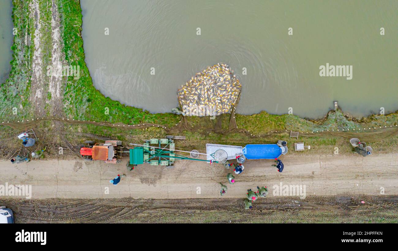 Above top view on equipment and mechanization with fishing scoop at