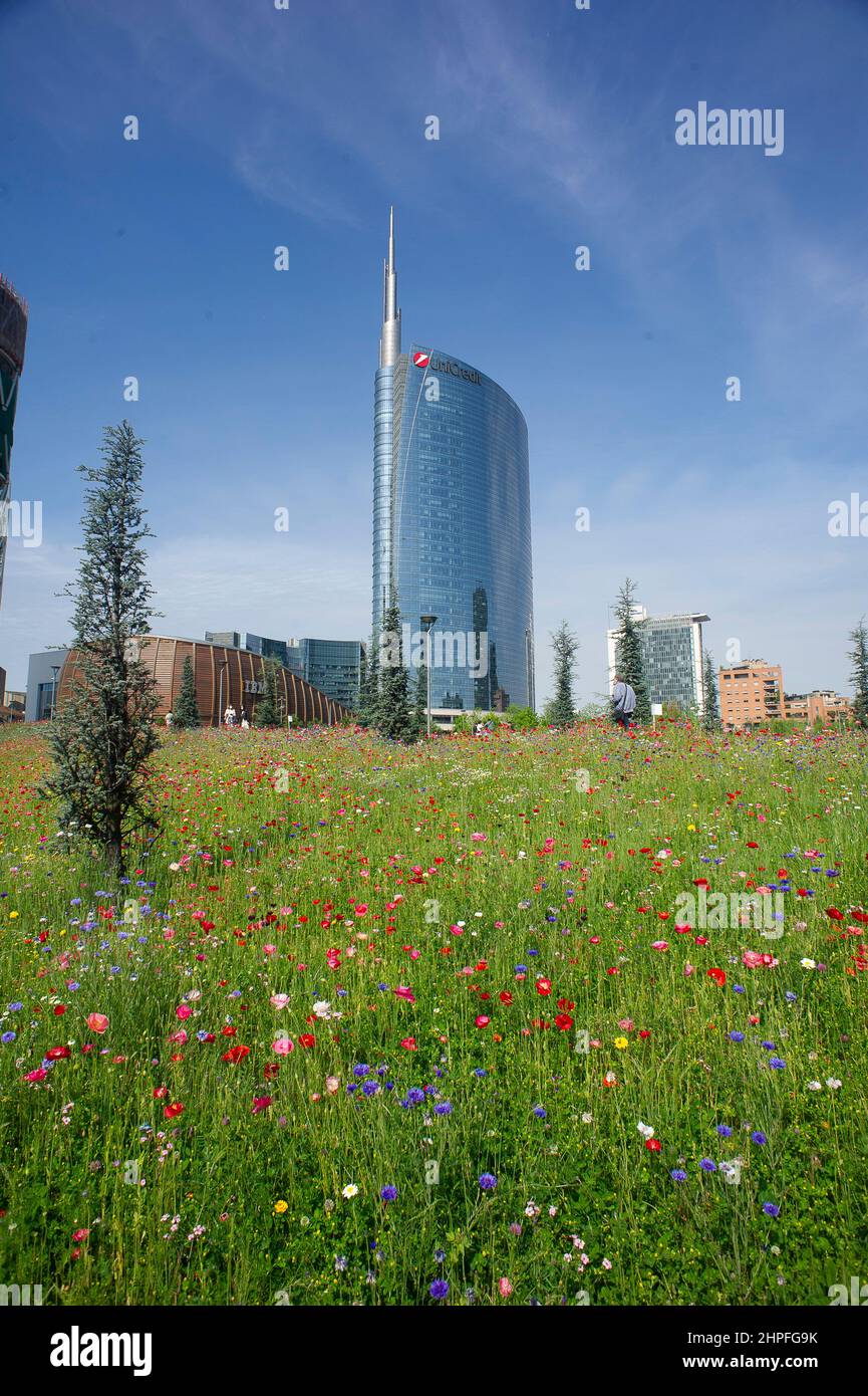 High rise skyscraper skyscrapers building buildings vegetation hi-res ...