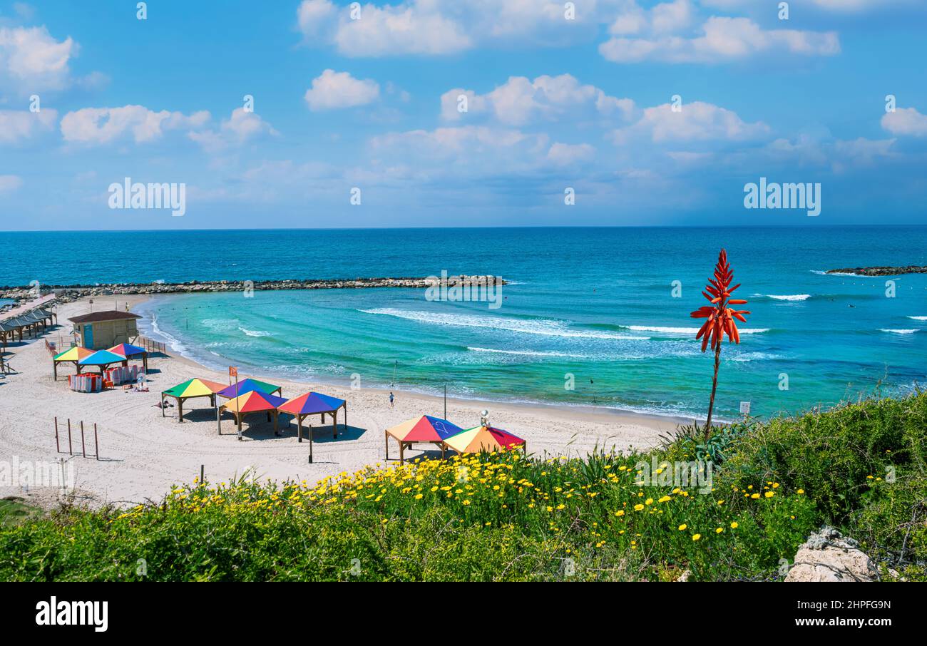 Beautiful Hilton beach in the summertime in Tel-Aviv, Israel Stock Photo