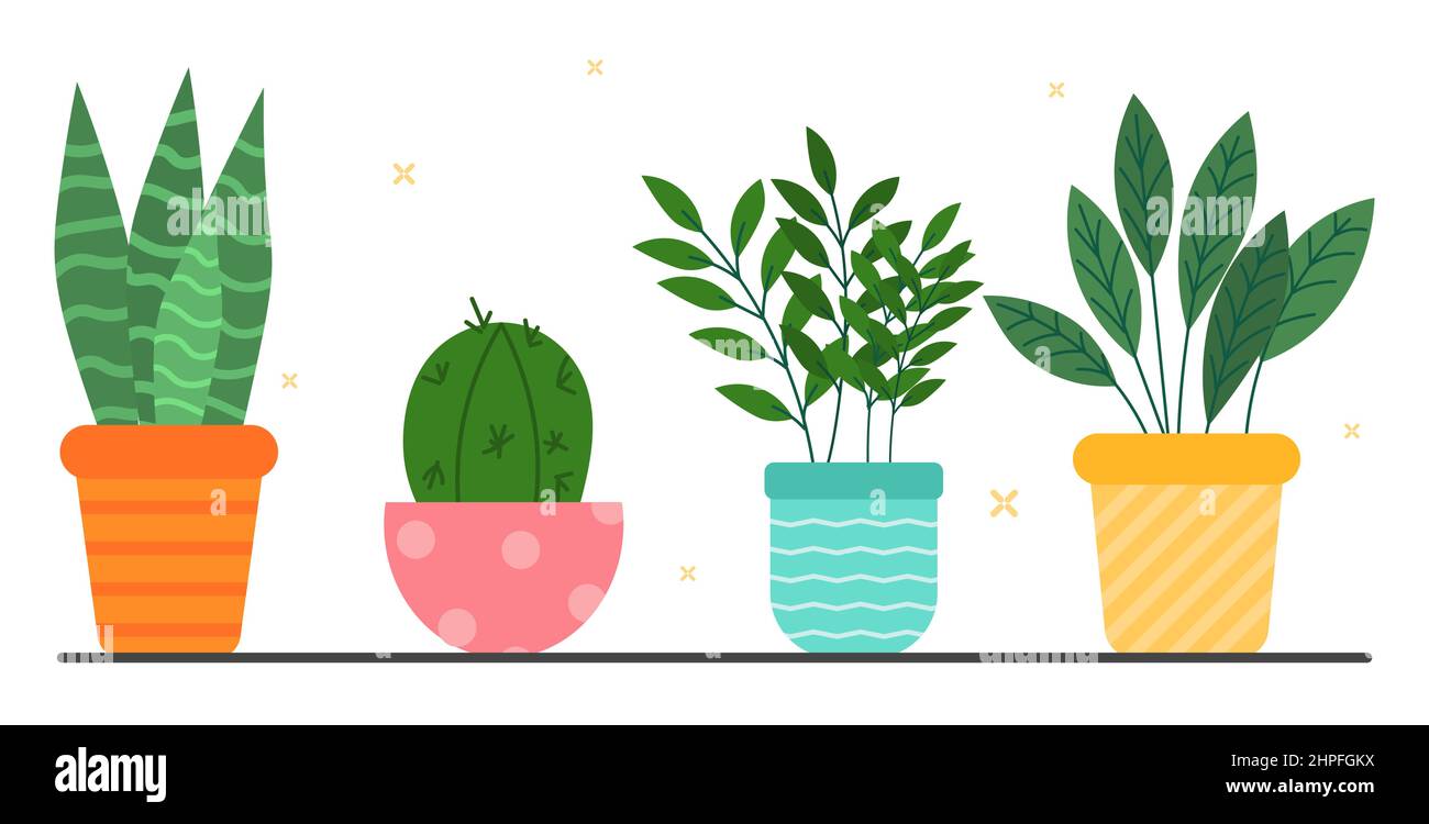 Set of plants Stock Vector Image & Art - Alamy