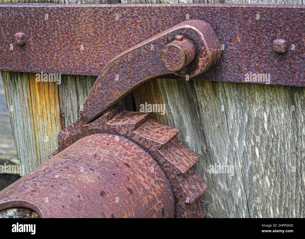 the ratchet mechanism on a counterweight trebuchet in the grounds of