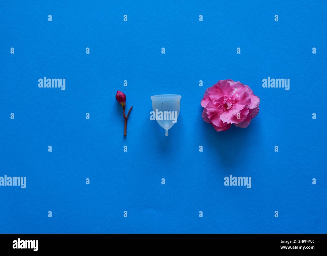 Menstrual cup and flowers representing blood on a blue background Stock