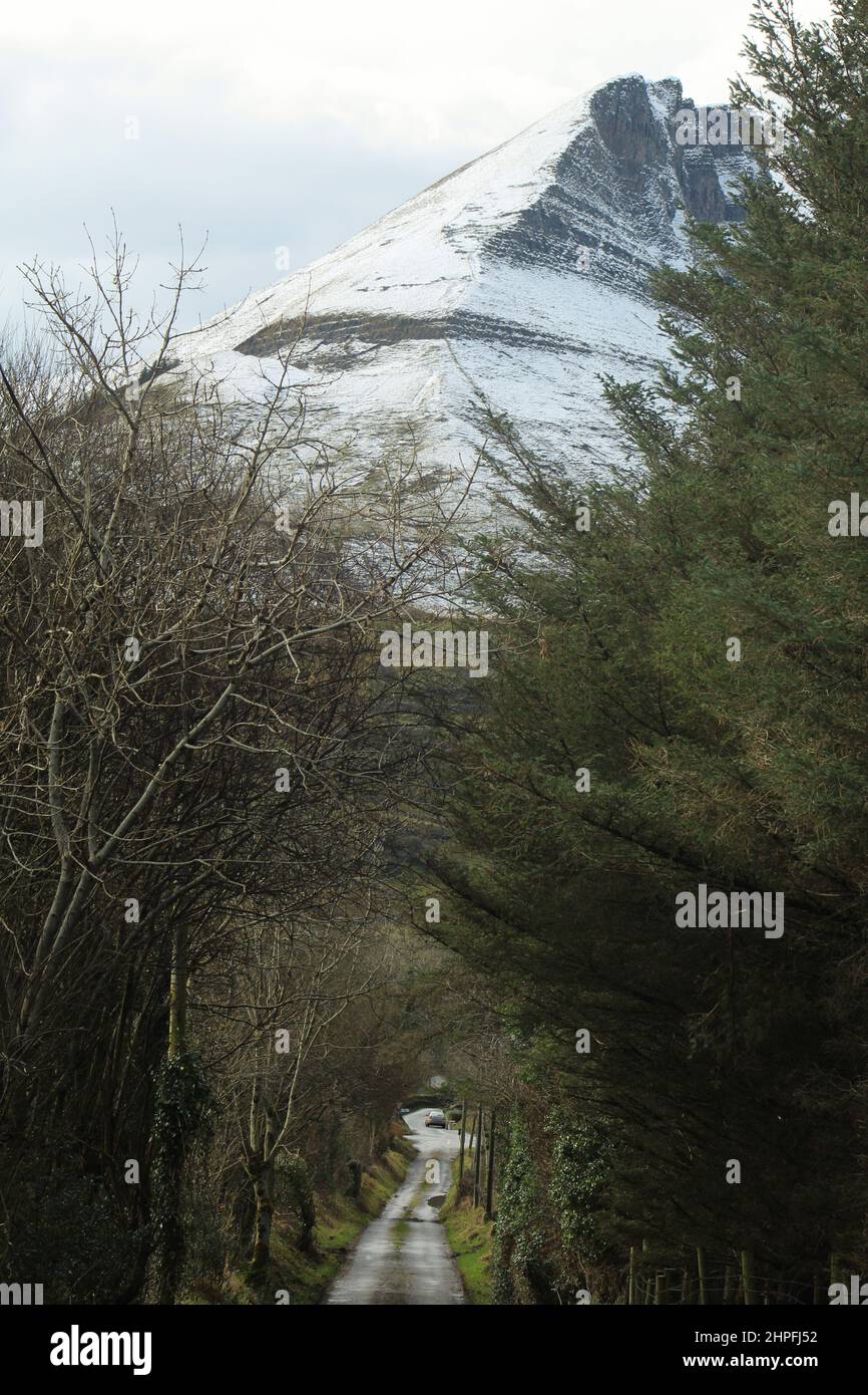 Country road, bordered by trees, leading towards a snow-covered Benwiskin Mountain, County Sligo, Ireland Stock Photo