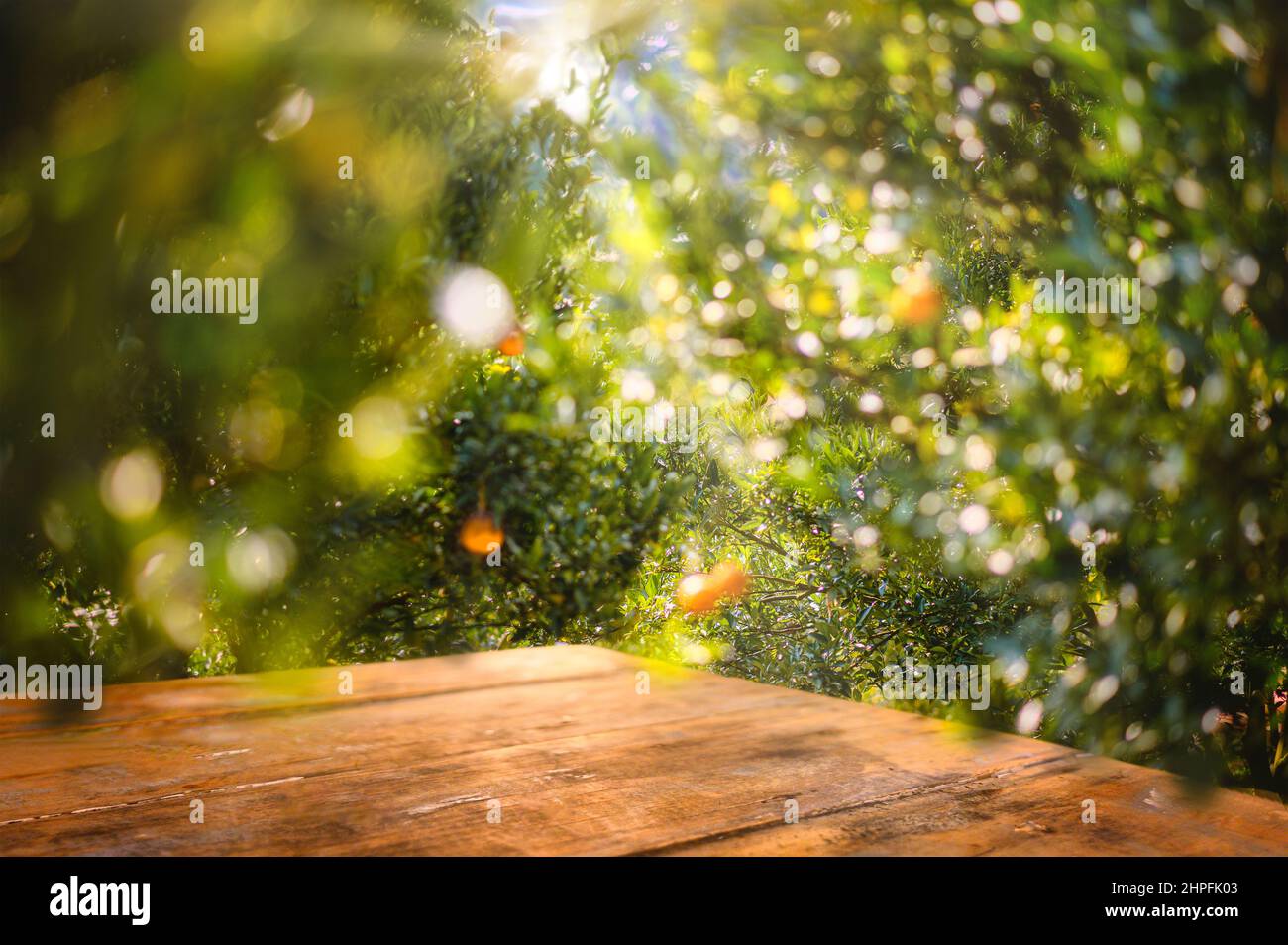 Empty wood table with free space over orange trees, orange field background.  For product display montage Stock Photo - Alamy