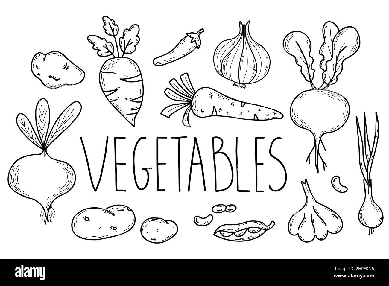 Collection of seasonal root vegetables. Beets and carrots, turnips and potatoes, onions and garlic, peas and chili peppers. Vector illustration Stock Vector