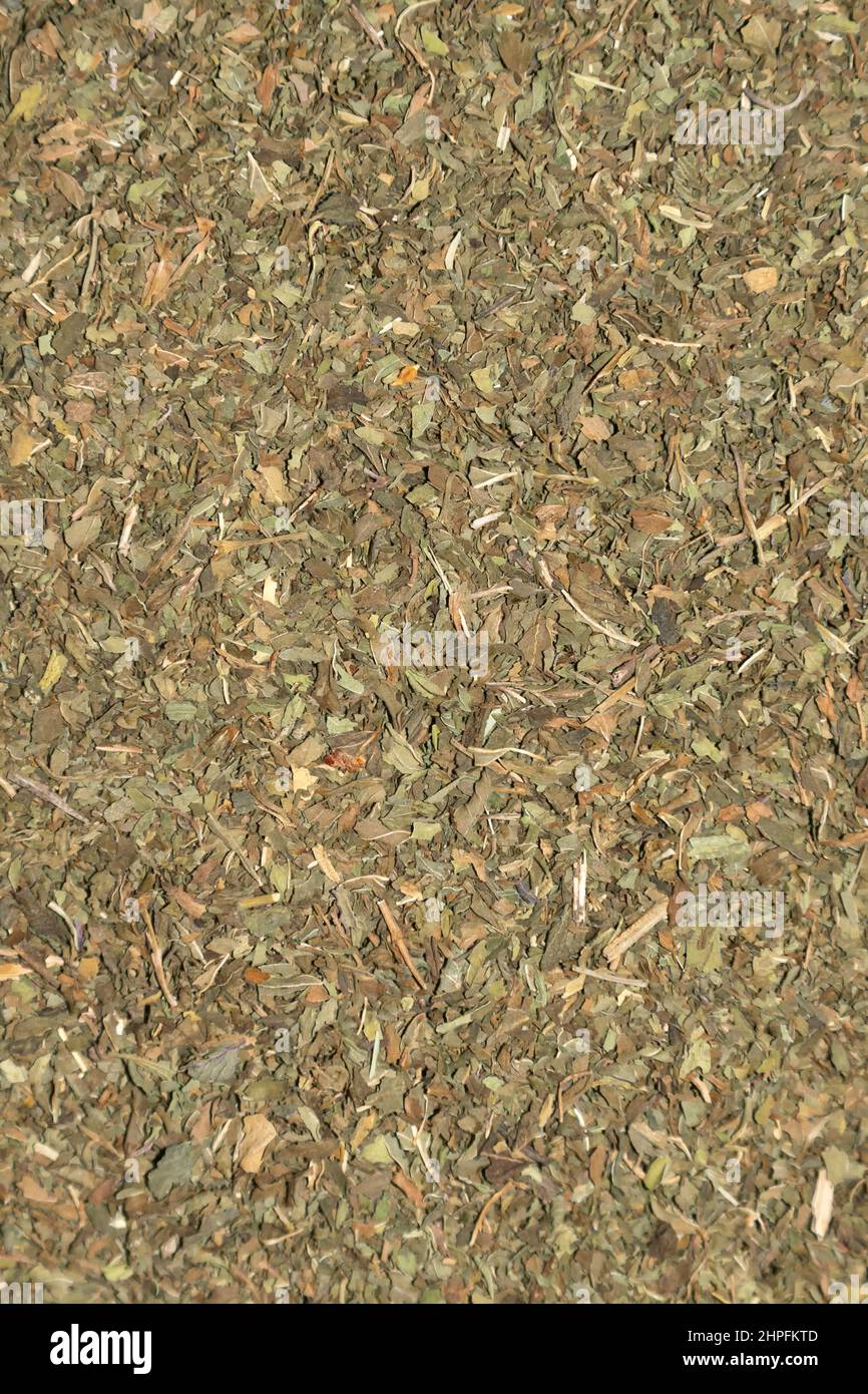 Peppermint tea Stock Photo