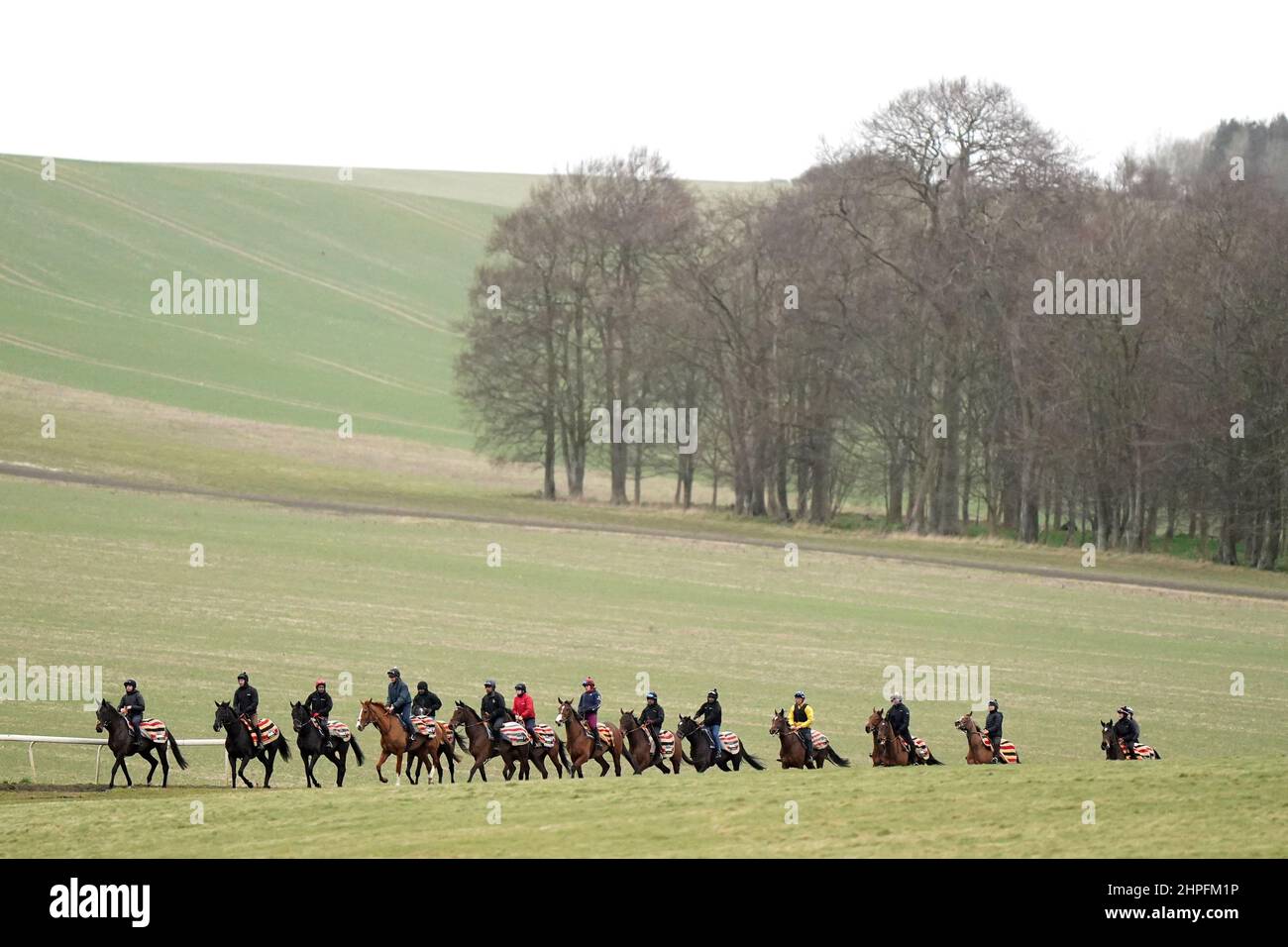 Nicky henderson yard stable visit hires stock photography and images