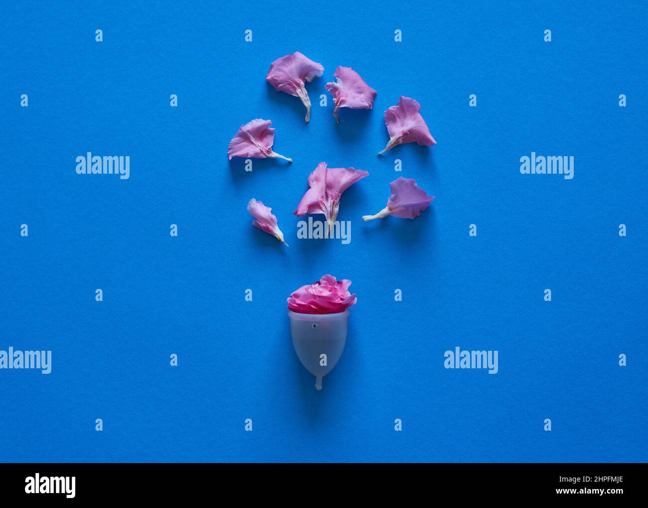 Menstrual cup and flowers representing blood on a blue background Stock