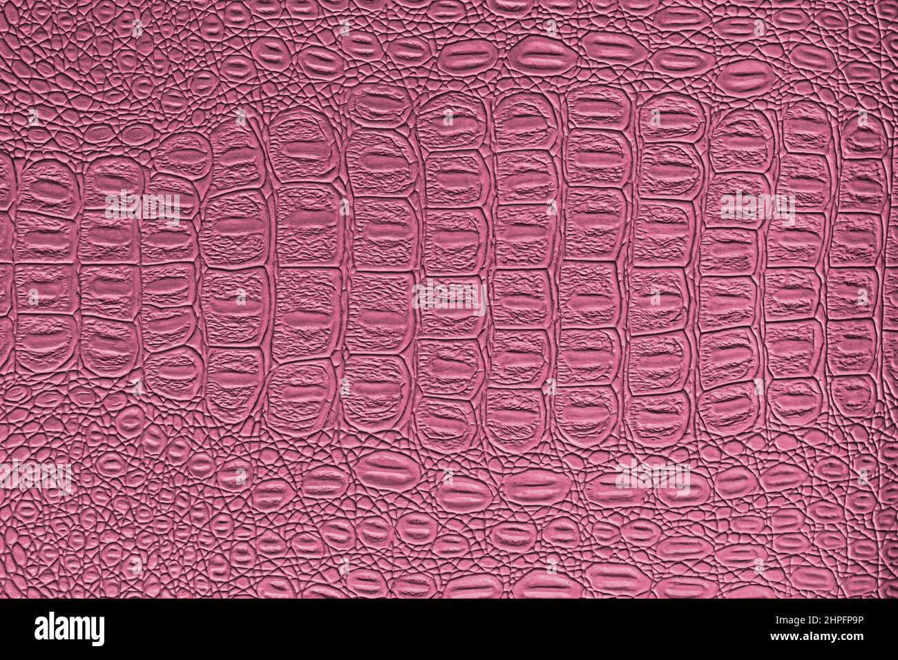 Pink crocodile leather texture. Abstract background for design. Stock Photo