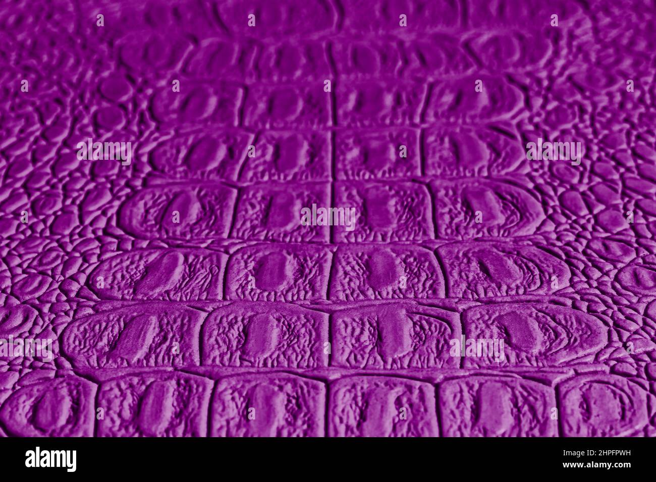Purple crocodile hi-res stock photography and images - Alamy