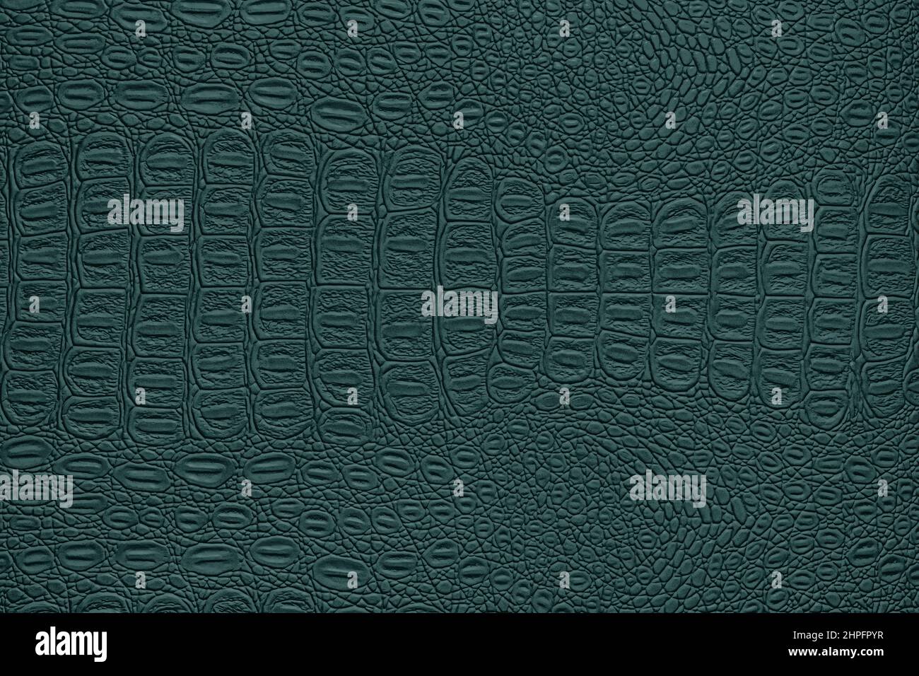 Green crocodile leather texture. Abstract background for design. Stock Photo