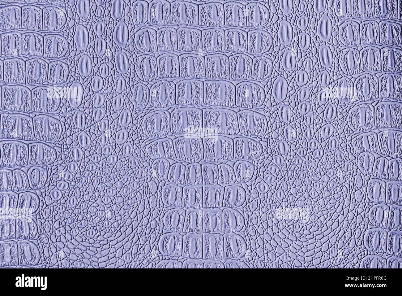 Blue crocodile leather texture. Abstract background for design. Stock Photo