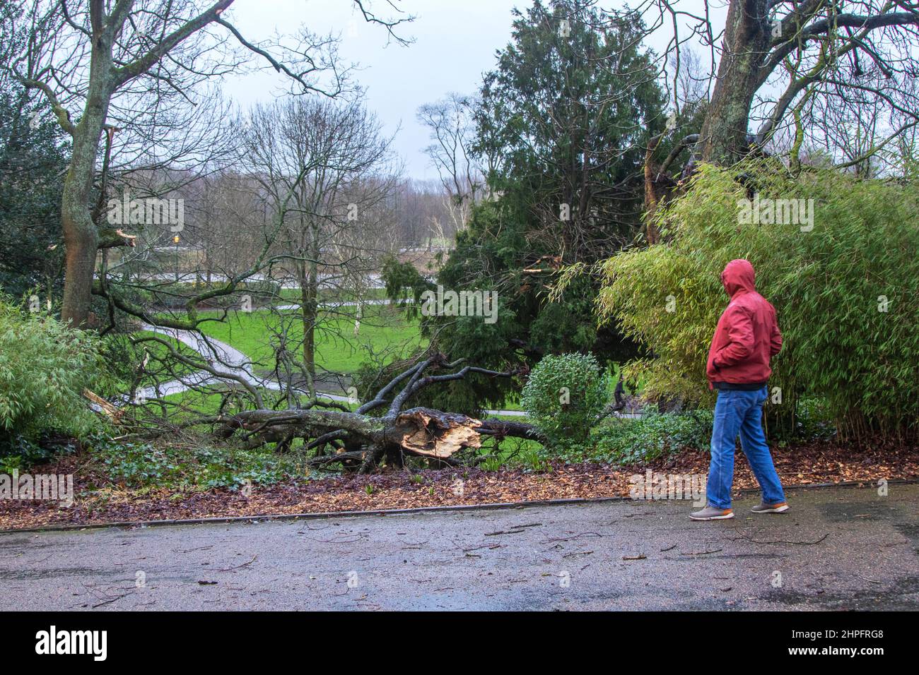 Preston Lancashire. UK Weather. 21 Feb 2022. A spell of very strong ...