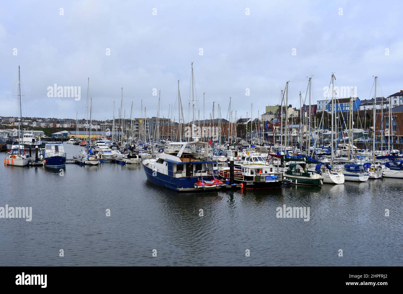 Milford Marina, Milford Haven, Wales Stock Photo