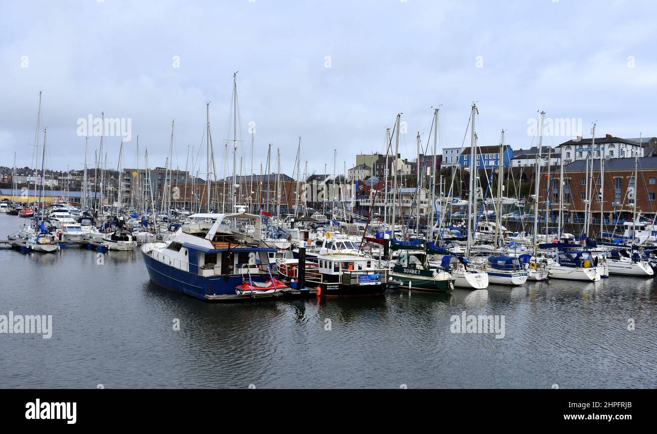 Milford Marina, Milford Haven, Wales Stock Photo