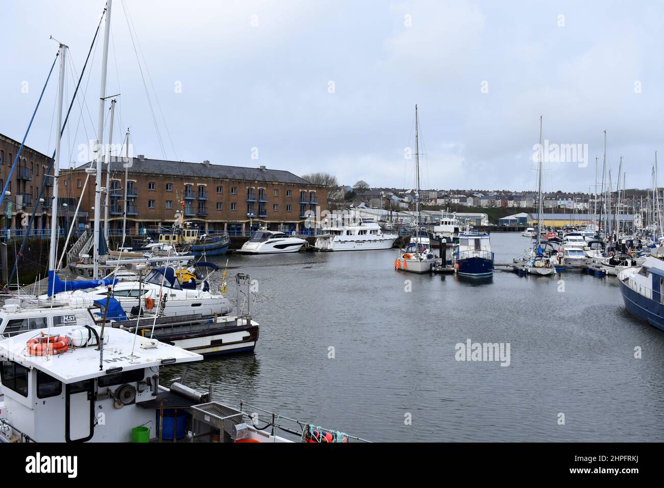 Milford Marina, Milford Haven, Wales Stock Photo Alamy