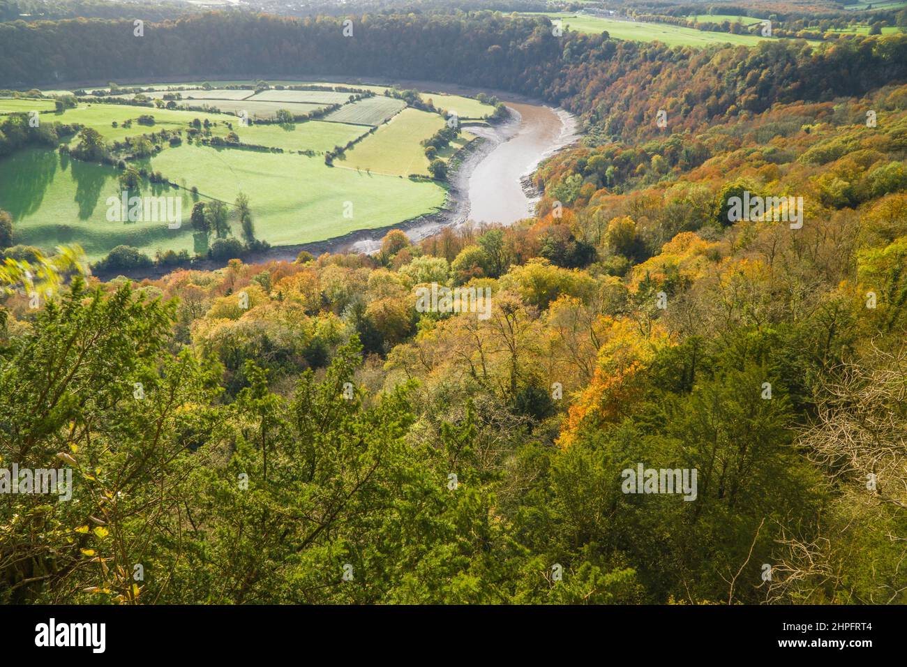 The river Wye meandering it's way through the Forest of Dean as it makes it's way to join the