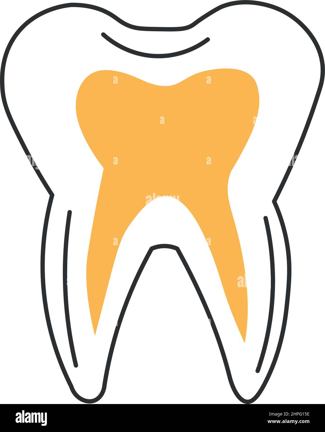 Stylish thin line tooth icon on white background - Vector illustration ...
