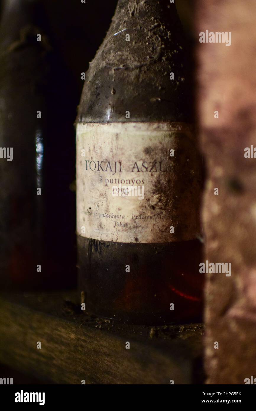 Inside Erzsébet Pince (Elizabeth Cellar) winery, founded by one of the