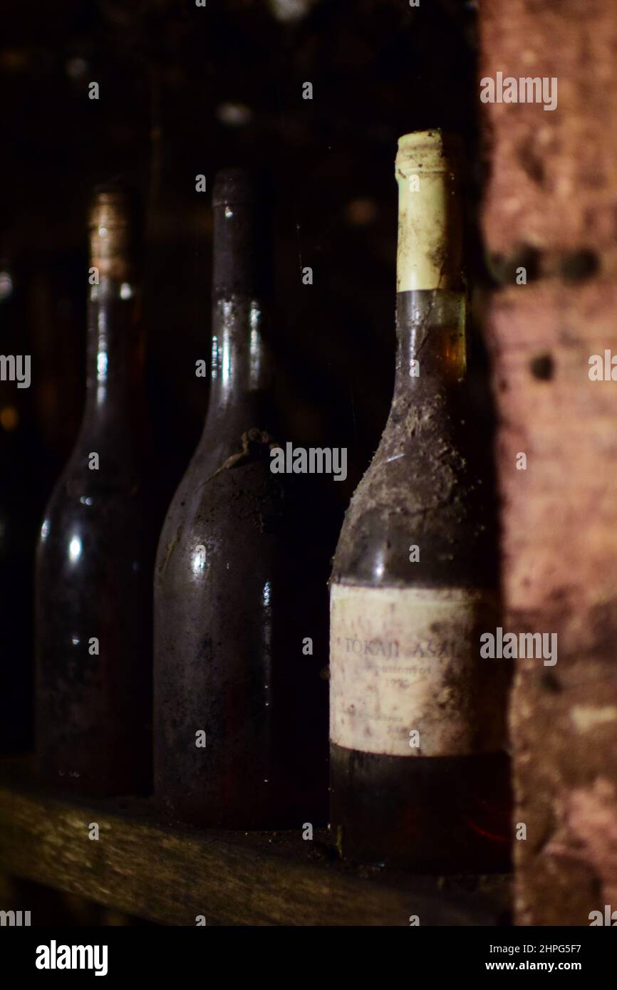 Inside Erzsébet Pince (Elizabeth Cellar) winery, founded by one of the