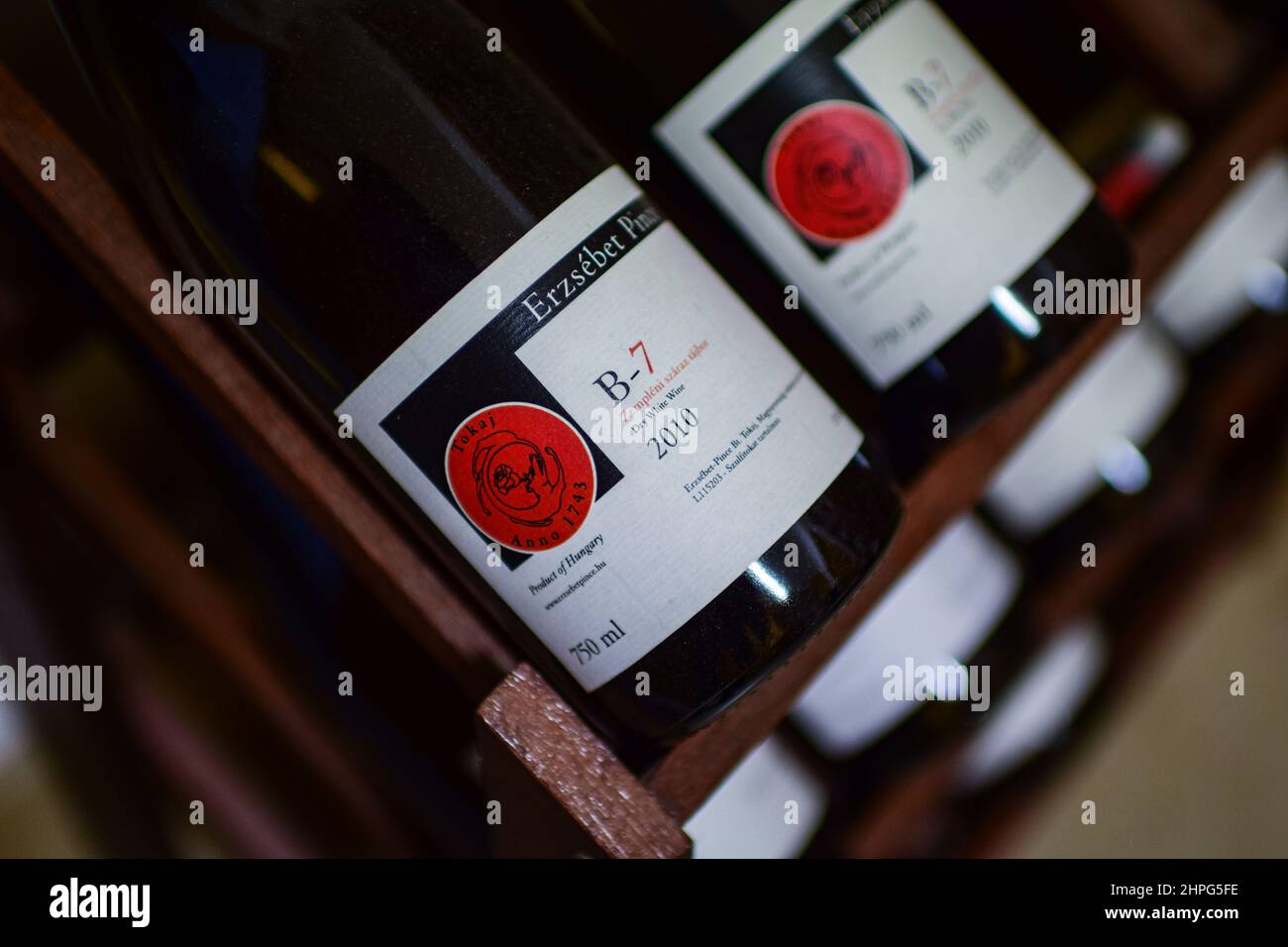 Inside Erzsébet Pince (Elizabeth Cellar) winery, founded by one of the