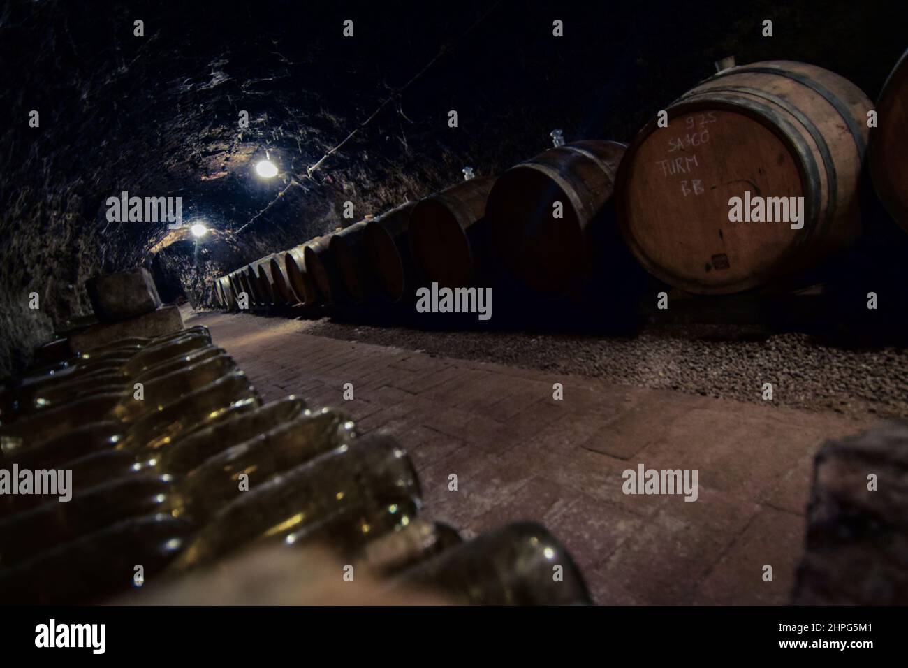 Inside Erzsébet Pince (Elizabeth Cellar) winery, founded by one of the