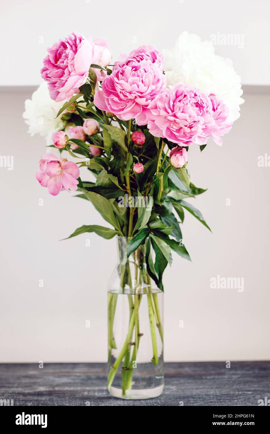 Flower bouquet of pink and white fresh peony flowers in a glass vase on a table Stock Photo