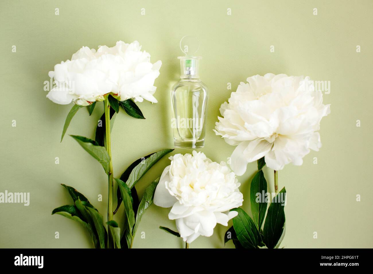 Transparent mockup glass bottle with perfume among fresh white peony flowers on light green pastel color, top view Stock Photo