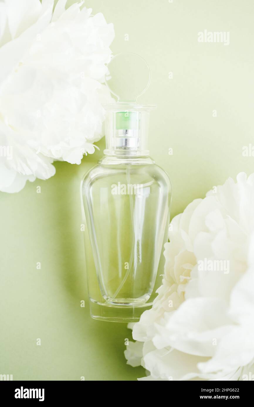 Transparent mockup glass bottle with perfume among fresh white peony flowers on light green pastel color, top view Stock Photo