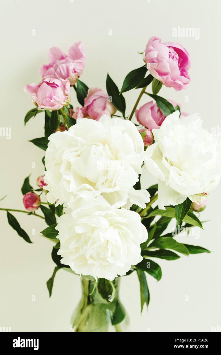 Sloppy flower bouquet of pink and white peonies flowers over pastel background, spring and summer season flowers Stock Photo