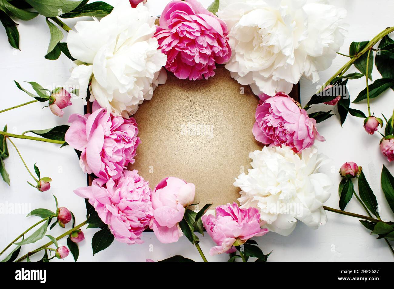 Simple flat lay flower frame of pink and white peonies, spring and summer season concept Stock Photo