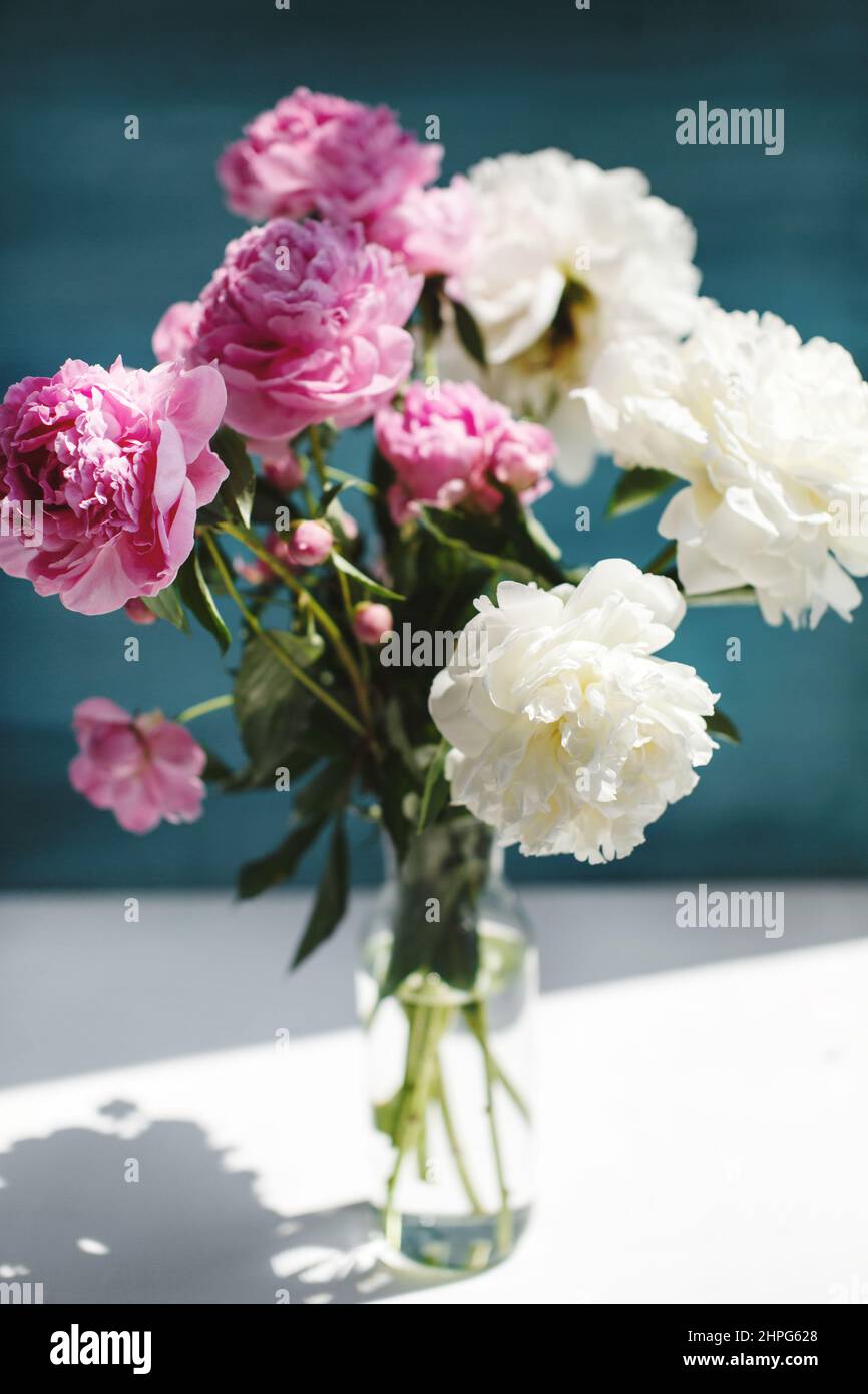 Flower bouquet of pink natural peonies flowers in a vase in sunshine, spring and summer season flowers Stock Photo